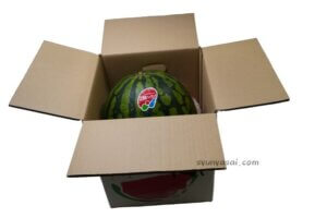 松本ハイランド　贈答