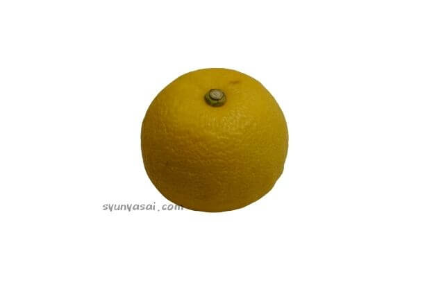 黄柚子